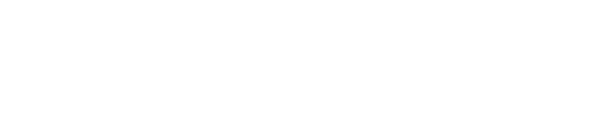 shadowsoft_logo_white_full